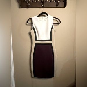Calvin Klein Women's Colorbloack Sheath Dress